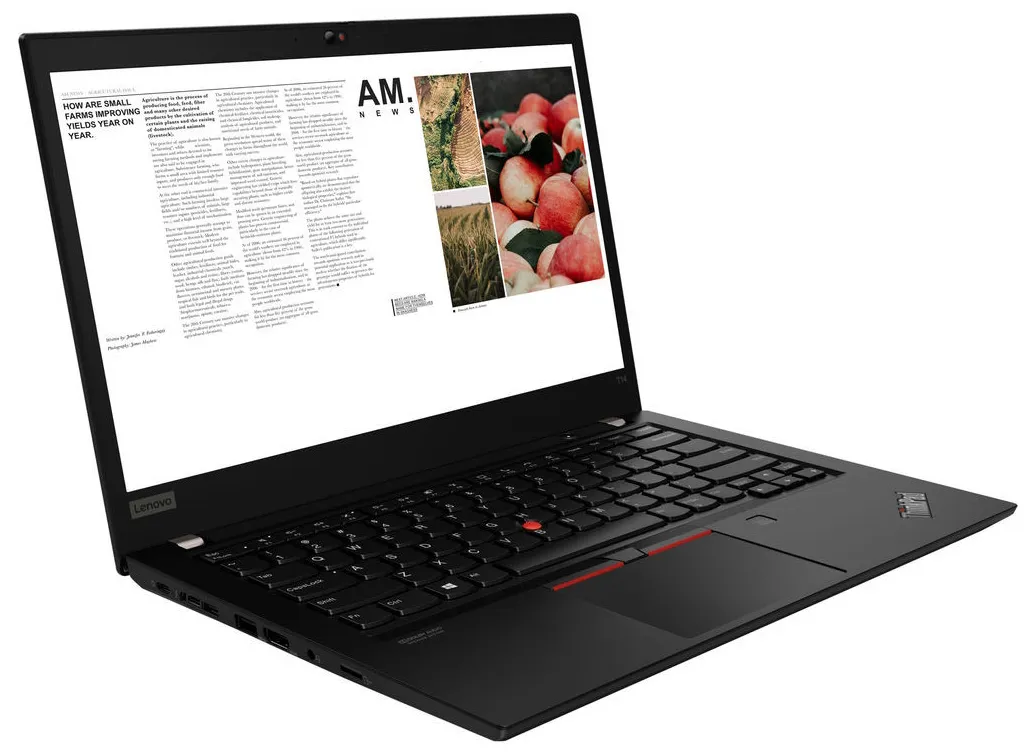 Ноутбук Lenovo ThinkPad T14 20S00008RT