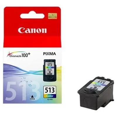 Картридж Canon CL-513C 2971B007