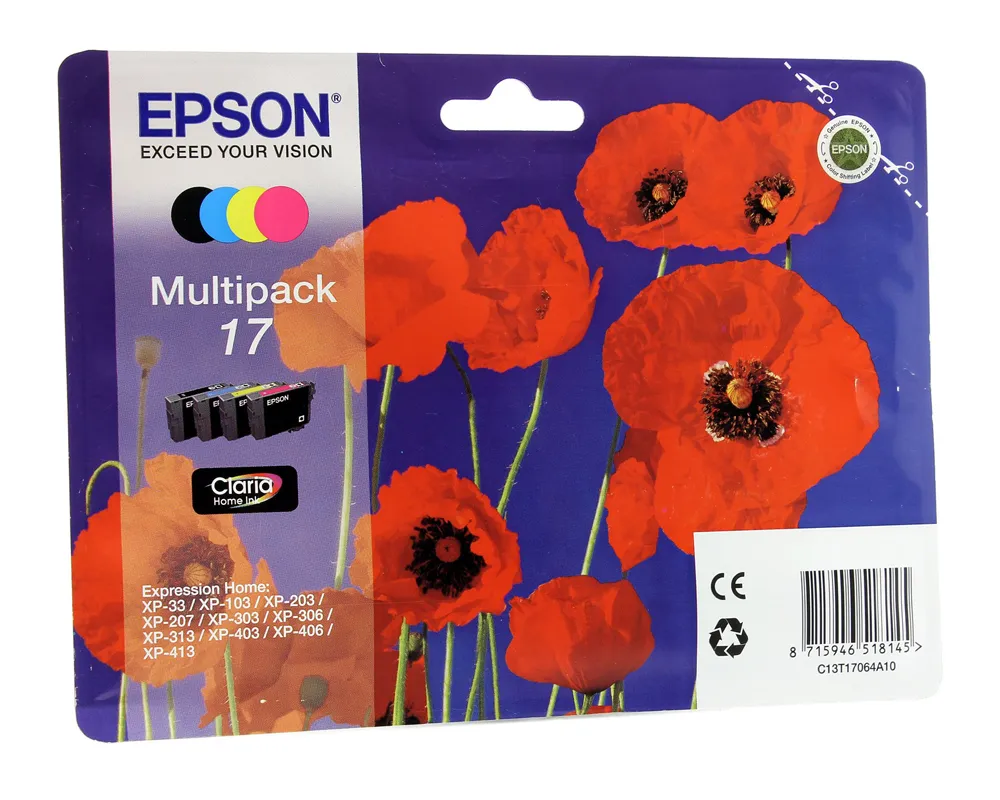 Картридж Epson C13T17064A10