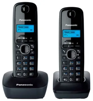Беспроводной телефон Panasonic KX-TG1612RUH