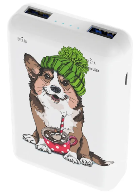 Внешний аккумулятор RITMIX RPB-10007 Corgi