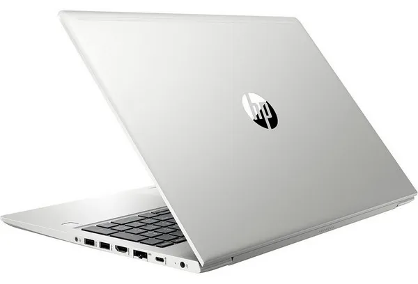 Ноутбук HP ProBook 455 G7 214C8ES