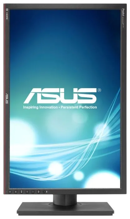 Монитор 24.1" Asus PA249Q BK