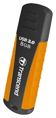 USB Флеш Transcend 8Gb TS8GJF810
