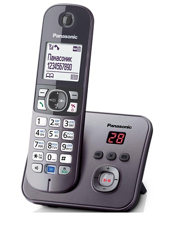 Беспроводной телефон DECT Panasonic KX-TG6821 CAM