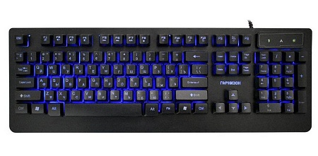 Клавиатура Гарнизон GK-310G black rus/lat