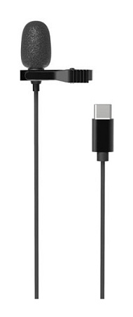 Микрофон Ritmix RCM-210 черный