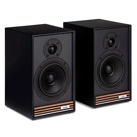 Полочная акустическая система Ruark Sabre-R черный Полочная акустическая система Ruark Sabre-R черный