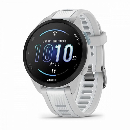 Спортивные часы Garmin FORERUNNER 165 Music Mist Grey/Whitestone 010-02863-31