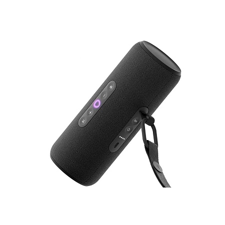 Портативная умная колонка Яндекс Станция Стрит с Алисой Черный