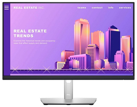 Монитор 23.8" Dell P2422H 210-AZYX