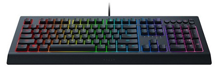 Клавиатура Razer Cynosa V2