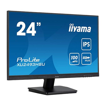 Монитор 24" iiyama ProLite PL2493HS XU2493HSU-B6