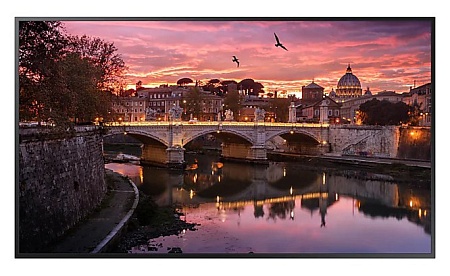 Видеопанель Samsung QB50R-B LH50QBRBBGCXCI