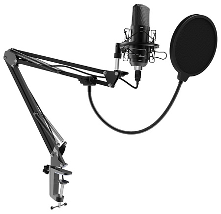 Микрофон RITMIX RDM-180