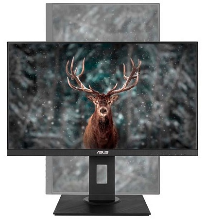 Монитор 23.8" Asus VA24DQLB
