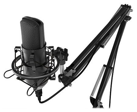 Микрофон RITMIX RDM-180
