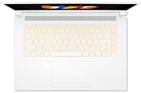 Ноутбук Acer ConceptD 3 Pro CN315-72P NX.C5ZER.001