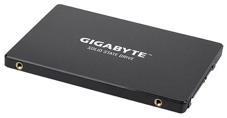 SSD накопитель 256GB Gigabyte GP-GSTFS31256GTND (4719331804329)