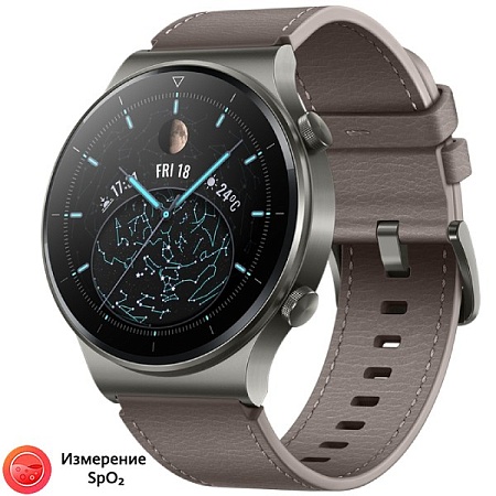 Смарт-часы Huawei Watch GT 2 Pro Classic Nebula Gray