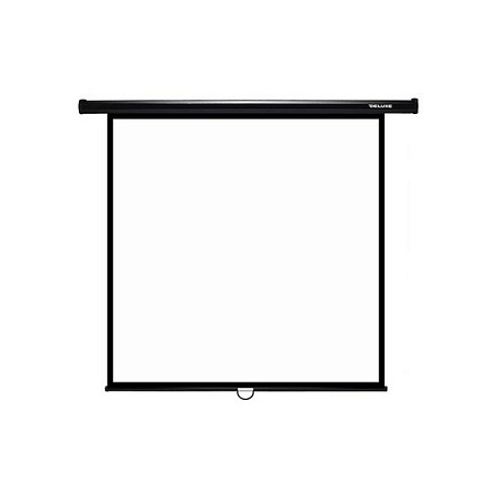 Экран для проекторов Deluxe DLS-M180x