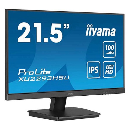 Монитор 21.5" iiyama ProLite PL2293HS XU2293HSU-B6