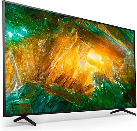Телевизор Sony KD65XH8096BR2