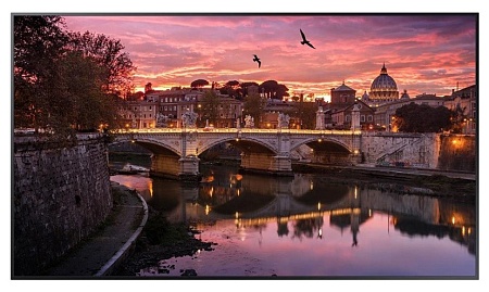 Видеопанель Samsung QB65R LH65QBREBGCXCI