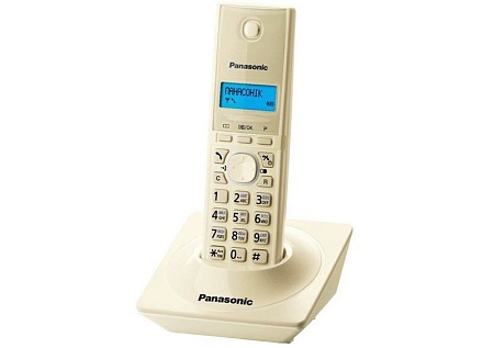 Беспроводной телефон DECT Panasonic KX-TG1711 CAJ