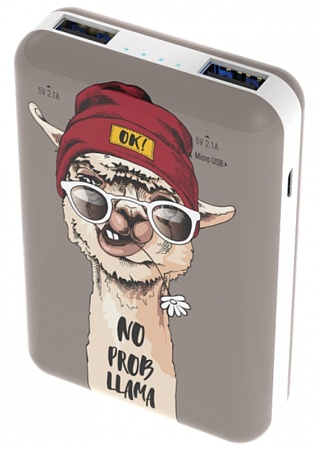 Внешний аккумулятор RITMIX RPB-10007 Lama