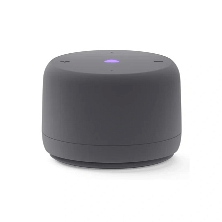 Умная колонка Яндекс Станция Лайт 2 без часов Графит (YNDX-00028GRY) YaGPT 6 Вт 1 Динамик