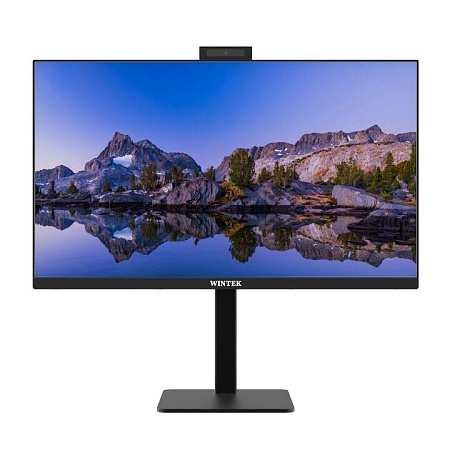 Моноблочная система Wintek BF2401