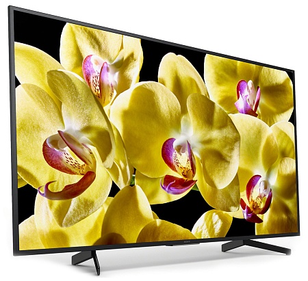 Телевизор Sony KD49XG8096BR