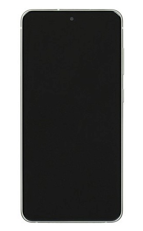 Смартфон Samsung Galaxy S21 FE 128GB Green SM-G990BLGDSKZ