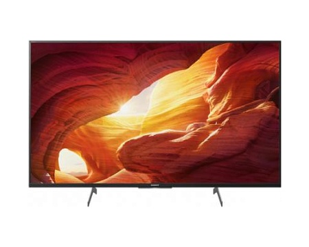 Телевизор Sony KD49XH8596BR