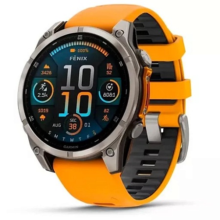 Смарт часы Garmin Fenix 8 графит