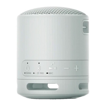 Портативная колонка Sony SRS-XB100/HCE