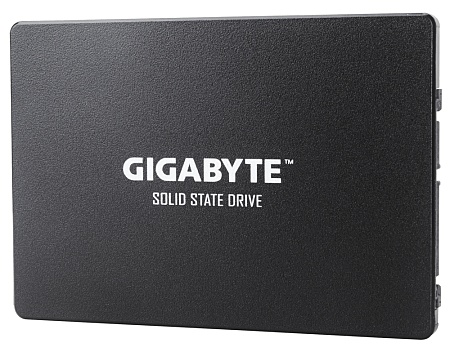 SSD накопитель 256GB Gigabyte GP-GSTFS31256GTND (4719331804329)