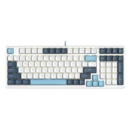 Клавиатура A4tech Fstyler FS300 Panda Snowboarding