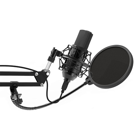 Студийный микрофон Ritmix RDM-169