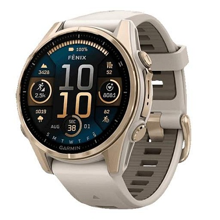 Смарт часы Garmin Fenix 8 43mm 010-02903-11