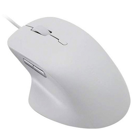 Компьютерная мышь Rapoo N500 Белый