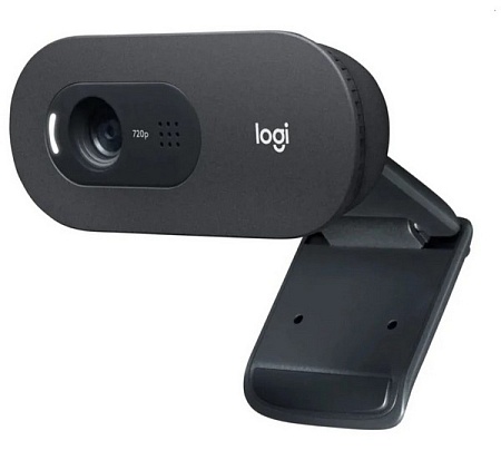 Веб-камера Logitech C505 HD Webcam 960-001364