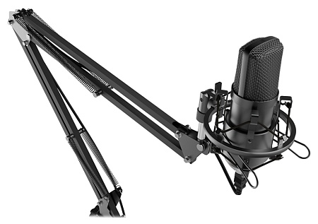 Микрофон RITMIX RDM-180