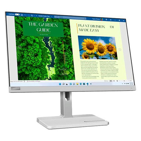 Монитор 23.8" Lenovo L24m-40 67A9UAC3EU