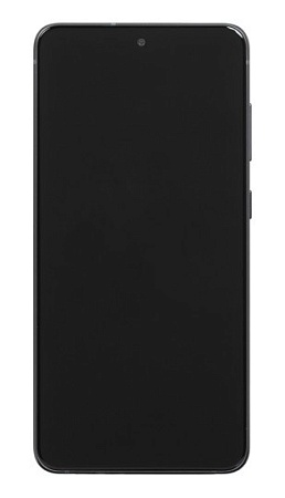 Смартфон Samsung Galaxy S21 FE 128GB Gray SM-G990BZADSKZ