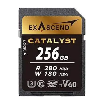 Карта памяти SD Exascend Catalyst 256Gb EX256GSDV60